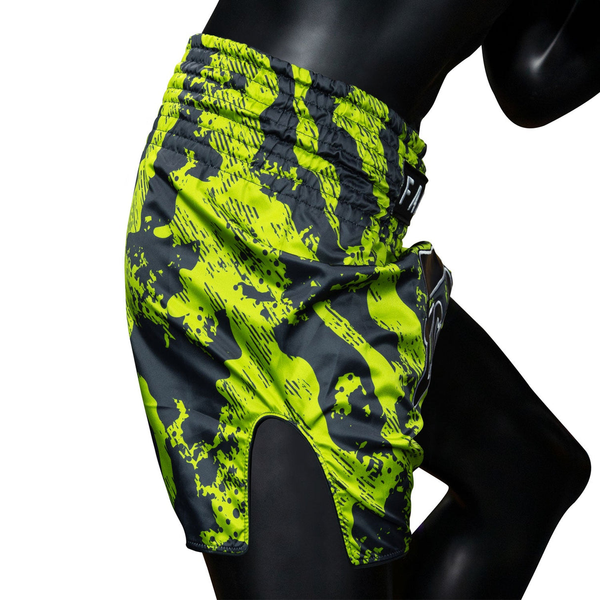 BS1955 Fairtex Raptor Muaythai Shorts
