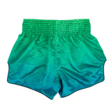 Fairtex BS1953 Muaythai Shorts - Quantum