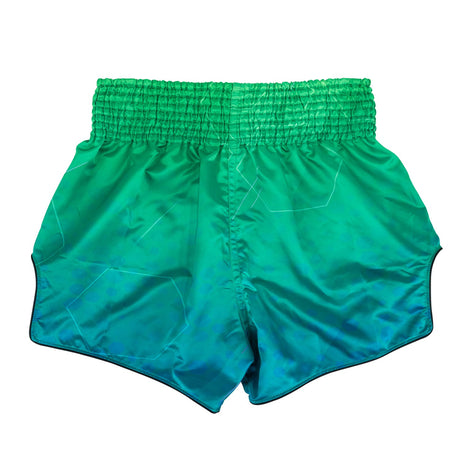 Fairtex BS1953 Muaythai Shorts - Quantum