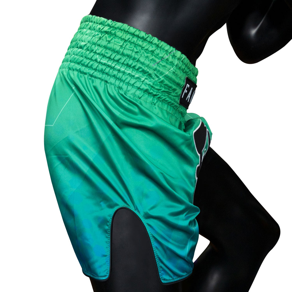 BS1953 Fairtex Quantum Muaythai Shorts