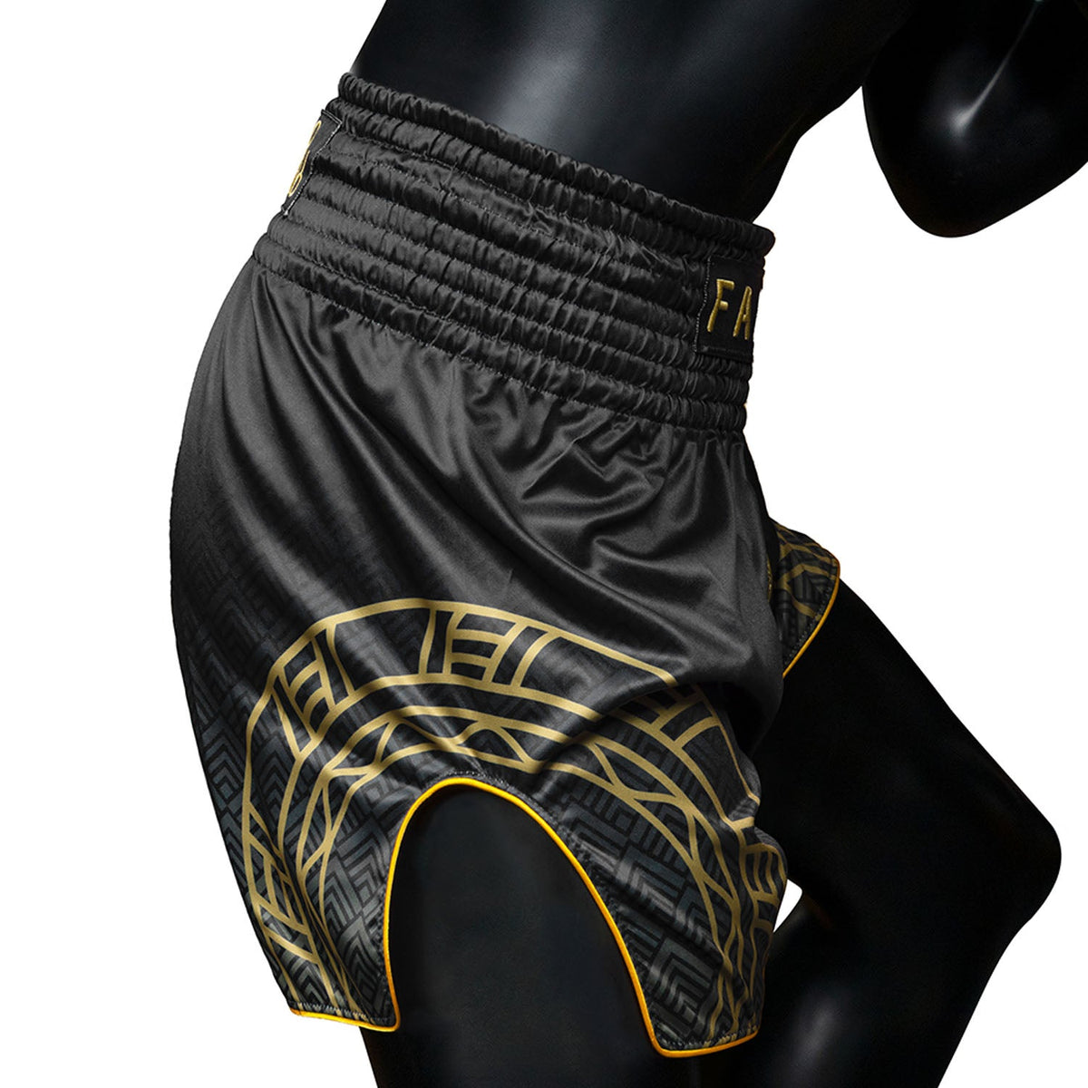Fairtex x Rajadamnern Muay Thai Shorts - BS-RAJ02 - Black